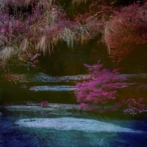 神彩美舞在线观看免费
