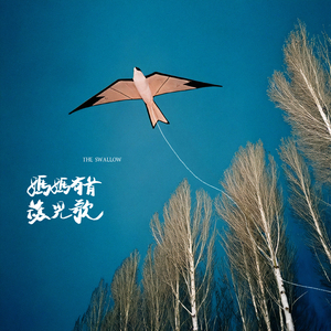 神彩美舞在线观看免费
